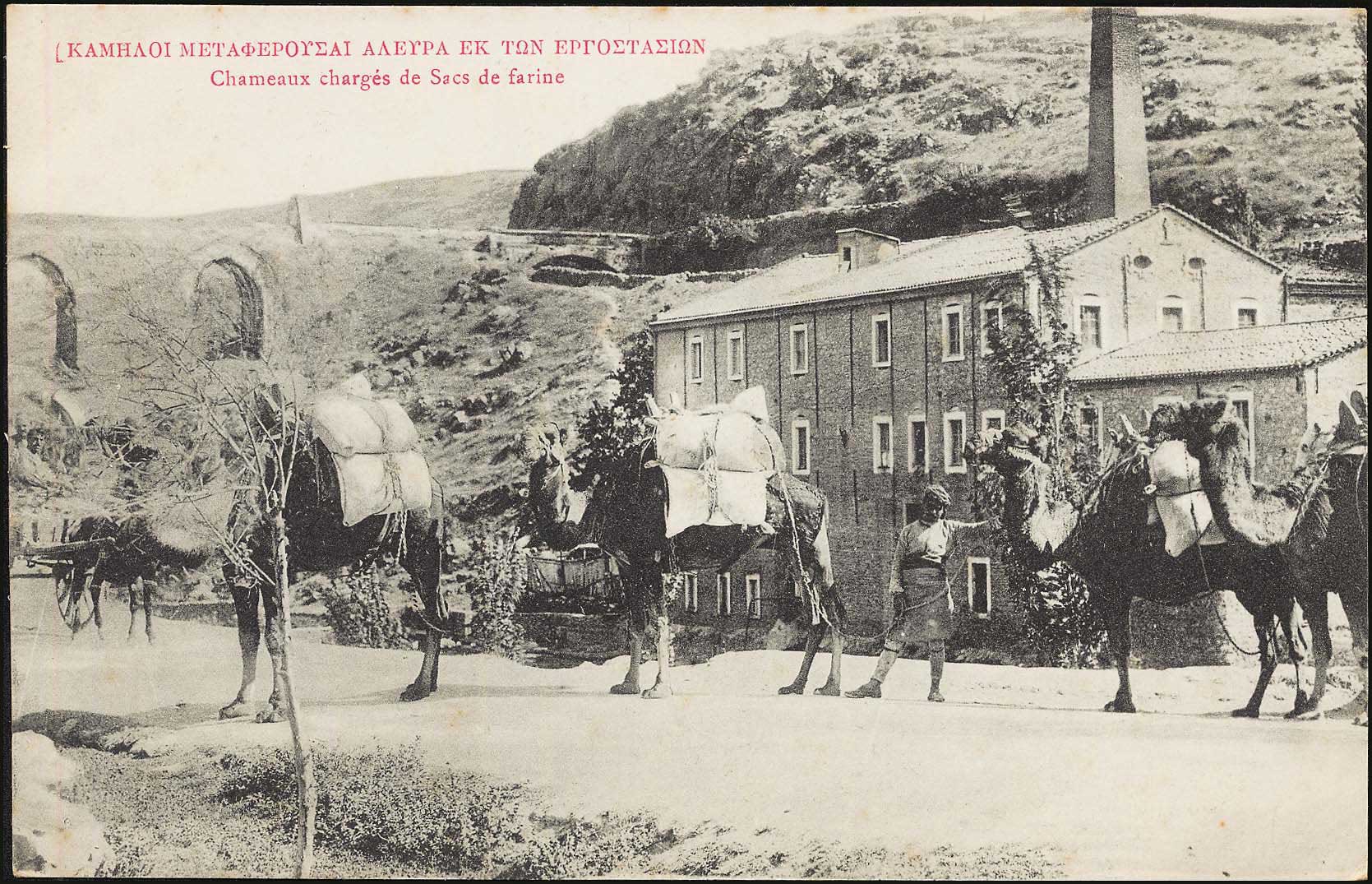 Lot 1972 - - Smyrne,Constantinople, Asia Minor -  A. Karamitsos Postal & Live Internet Auction 755