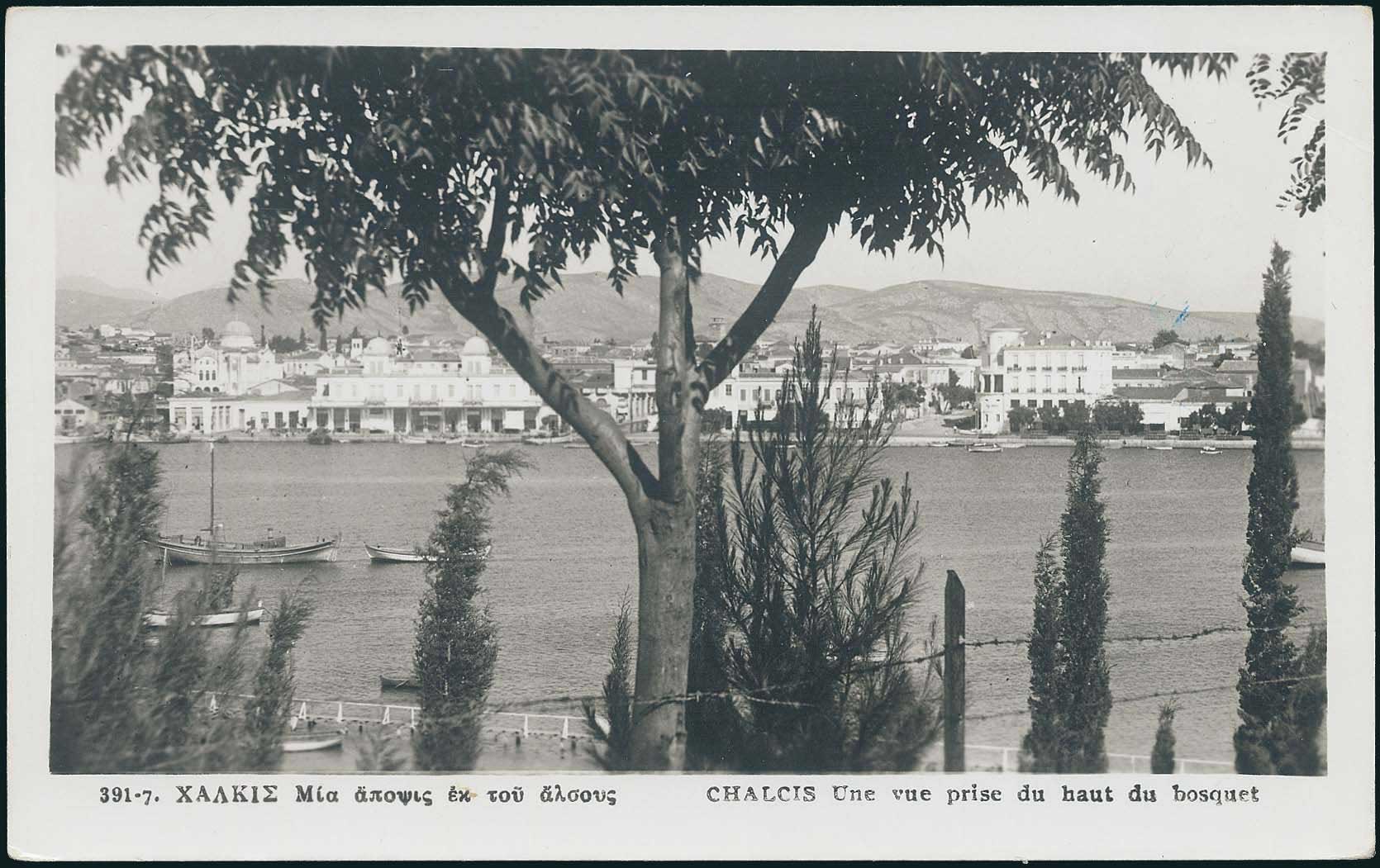 Lot 2132 - CentralGreece  -  A. Karamitsos Live Internet Auction 27