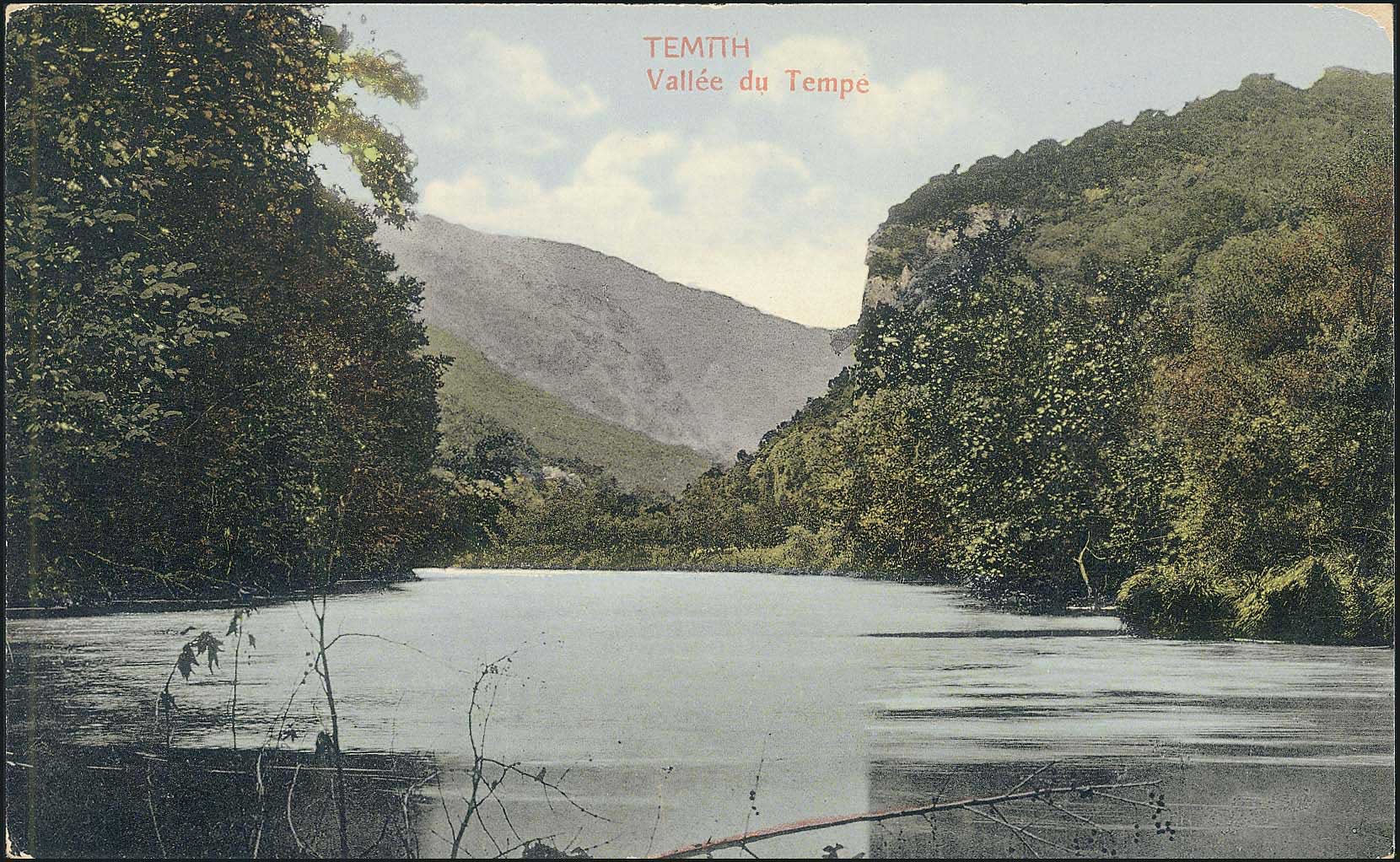 Lot 1616 - - Thessaly -  A. Karamitsos Postal & Live Internet Auction 754