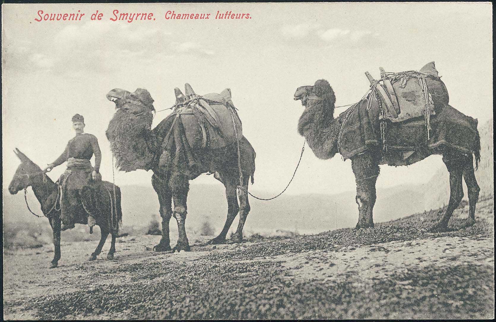 Lot 1960 - - Smyrne,Constantinople, Asia Minor - A. Karamitsos Postal & Live Internet Auction 752 Lot 1960 - - Smyrne,Constantinople, Asia Minor - A. Karamitsos Postal & Live Internet Auction 752
