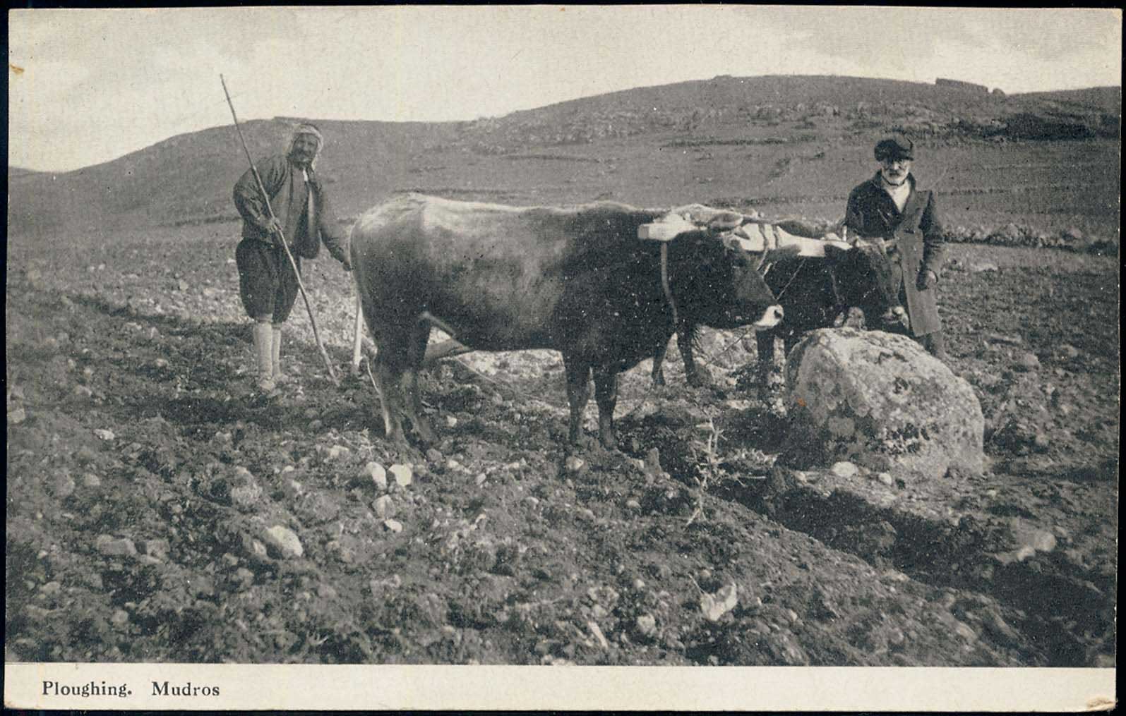 Lot 1396 - - AegeanIslands (North And East) - A. Karamitsos Postal & Live Internet Auction 754 Lot 1396 - - AegeanIslands (North And East) - A. Karamitsos Postal & Live Internet Auction 754