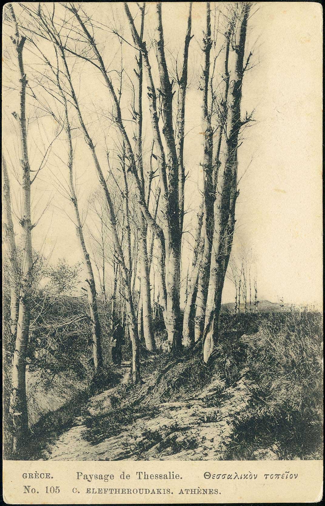 Lot 1613 - - Thessaly - A. Karamitsos Postal & Live Internet Auction 752 Lot 1613 - - Thessaly - A. Karamitsos Postal & Live Internet Auction 752
