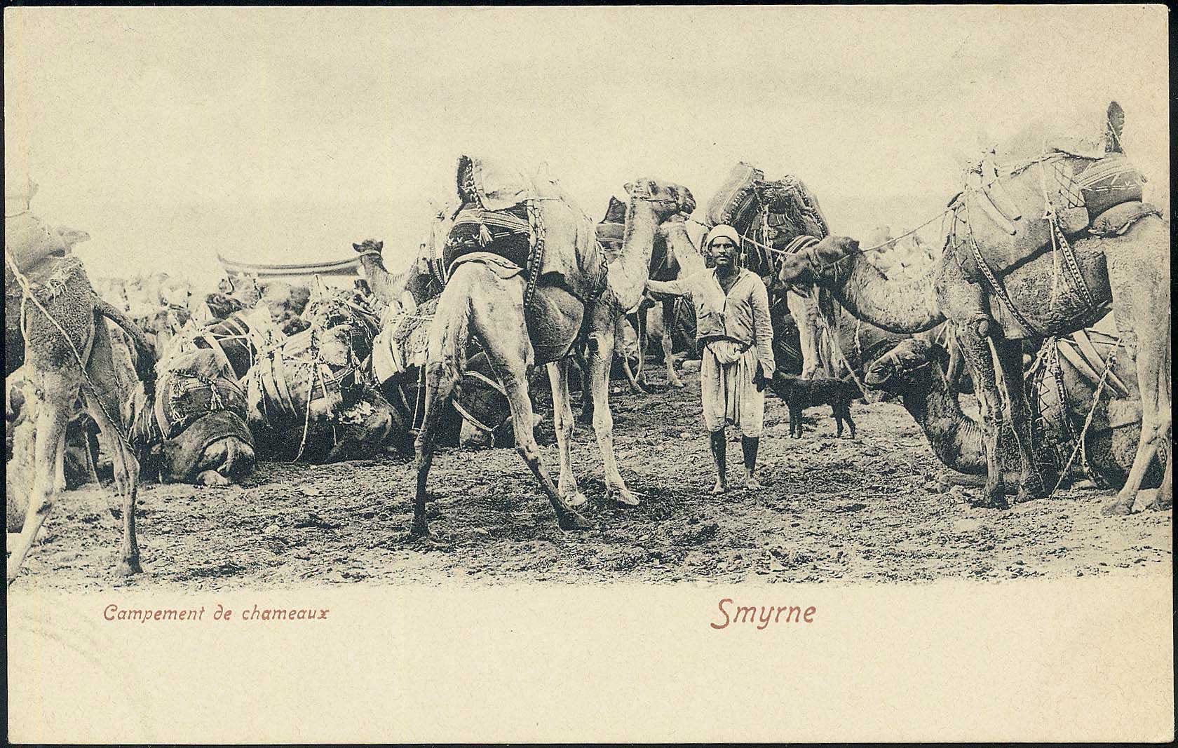Lot 1974 - - Smyrne,Constantinople, Asia Minor -  A. Karamitsos Postal & Live Internet Auction 755