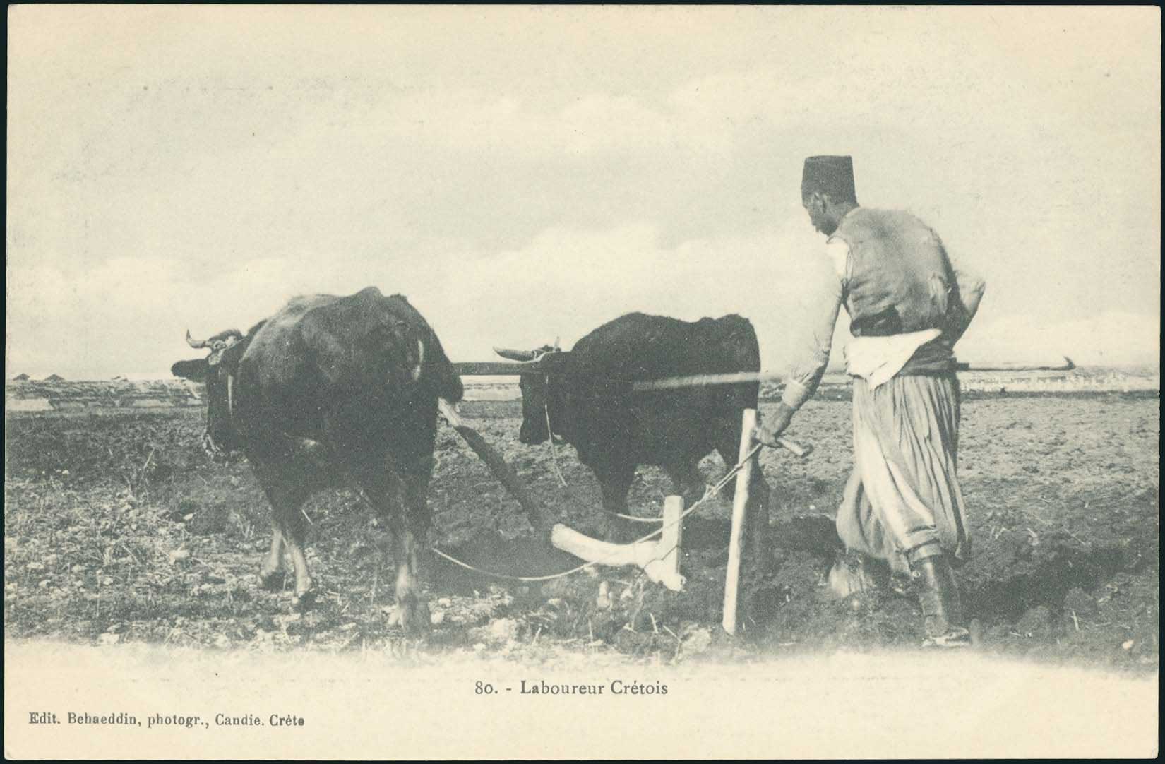 Lot 1371 - - Crète -  A. Karamitsos Postal & Live Internet Auction 751
