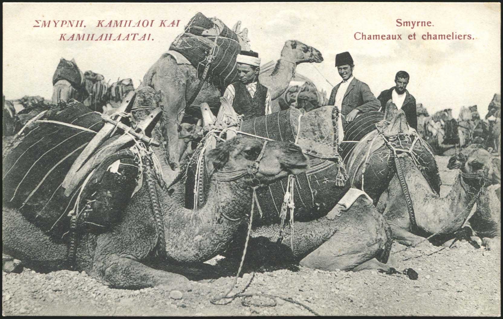 Lot 1976 - - Smyrne,Constantinople, Asia Minor - A. Karamitsos Postal & Live Internet Auction 755 Lot 1976 - - Smyrne,Constantinople, Asia Minor - A. Karamitsos Postal & Live Internet Auction 755
