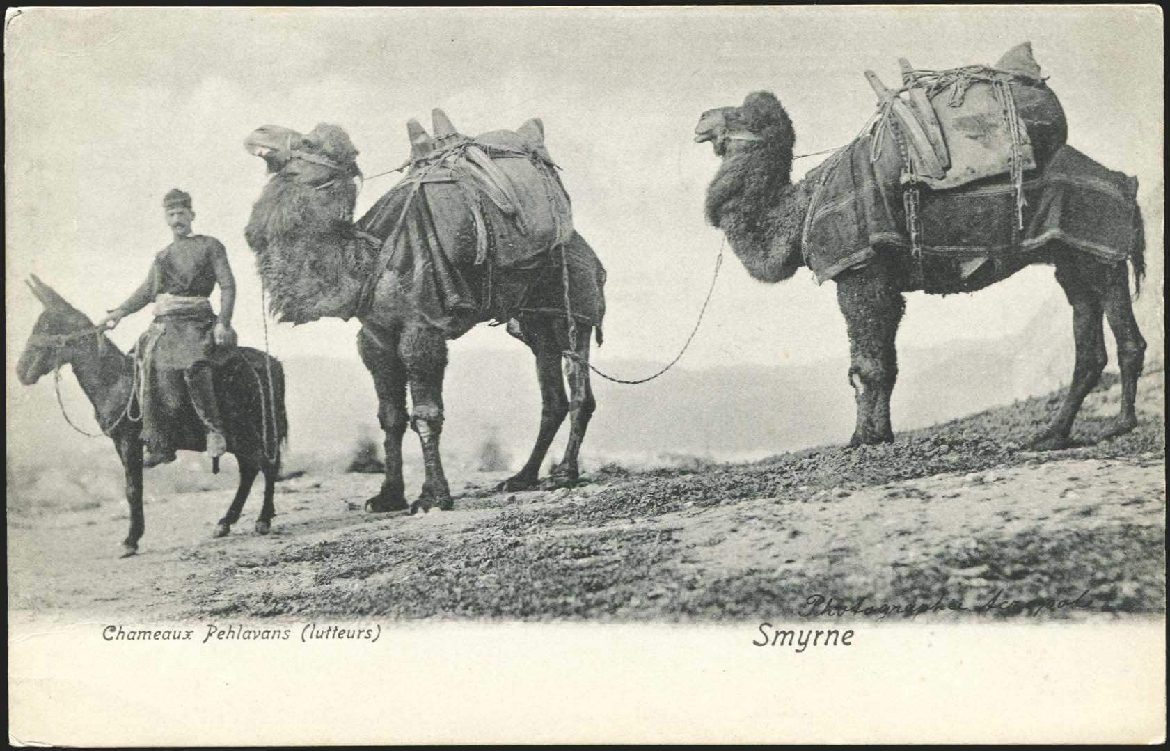 Lot 1955 - - Smyrne,Constantinople, Asia Minor -  A. Karamitsos Postal & Live Internet Auction 754