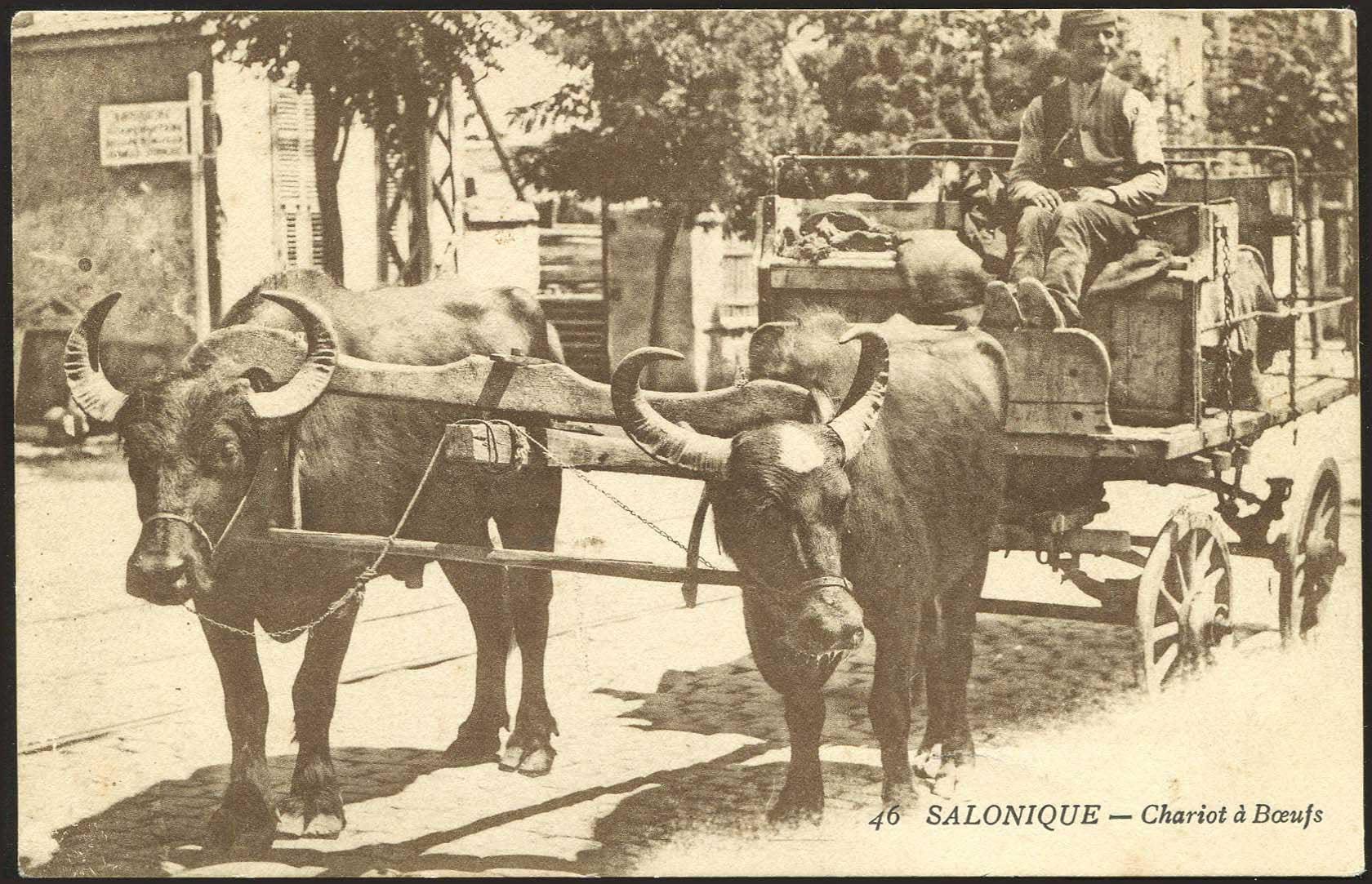 Lot 1787 - - THESSALONIKI(SALONICA) - A. Karamitsos Postal & Live Internet Auction 754 Lot 1787 - - THESSALONIKI(SALONICA) - A. Karamitsos Postal & Live Internet Auction 754