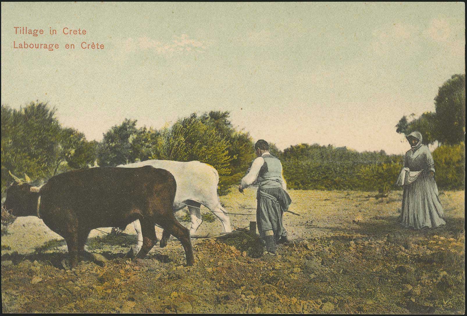 Lot 1374 - - Crète -  A. Karamitsos Postal & Live Internet Auction 751