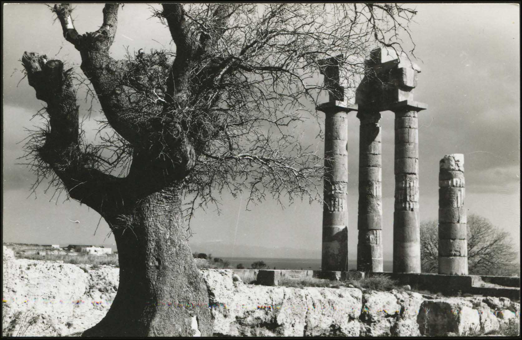 Lot 1747 - - DodecaneseIslands - A. Karamitsos Live Internet Auction 23 Lot 1747 - - DodecaneseIslands - A. Karamitsos Live Internet Auction 23
