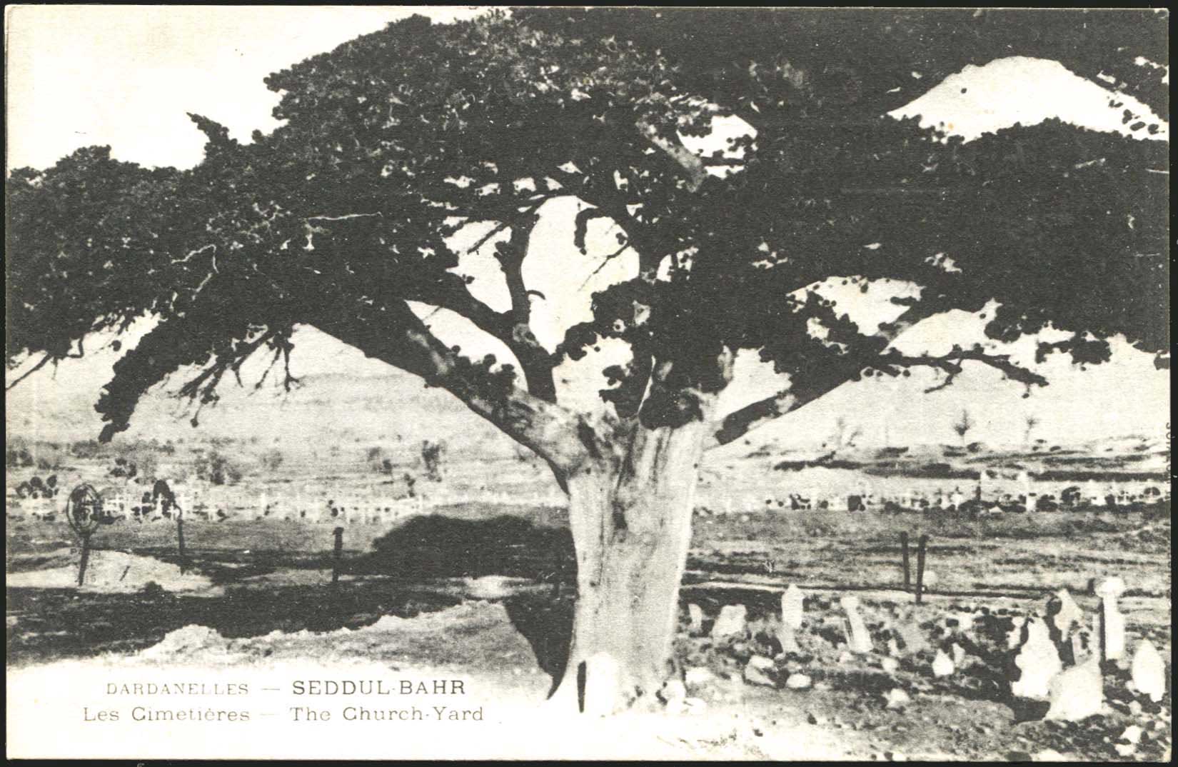 Lot 1798 - - Smyrne,Constantinople, Asia Minor - A. Karamitsos Postal & Live Internet Auction 754 Lot 1798 - - Smyrne,Constantinople, Asia Minor - A. Karamitsos Postal & Live Internet Auction 754