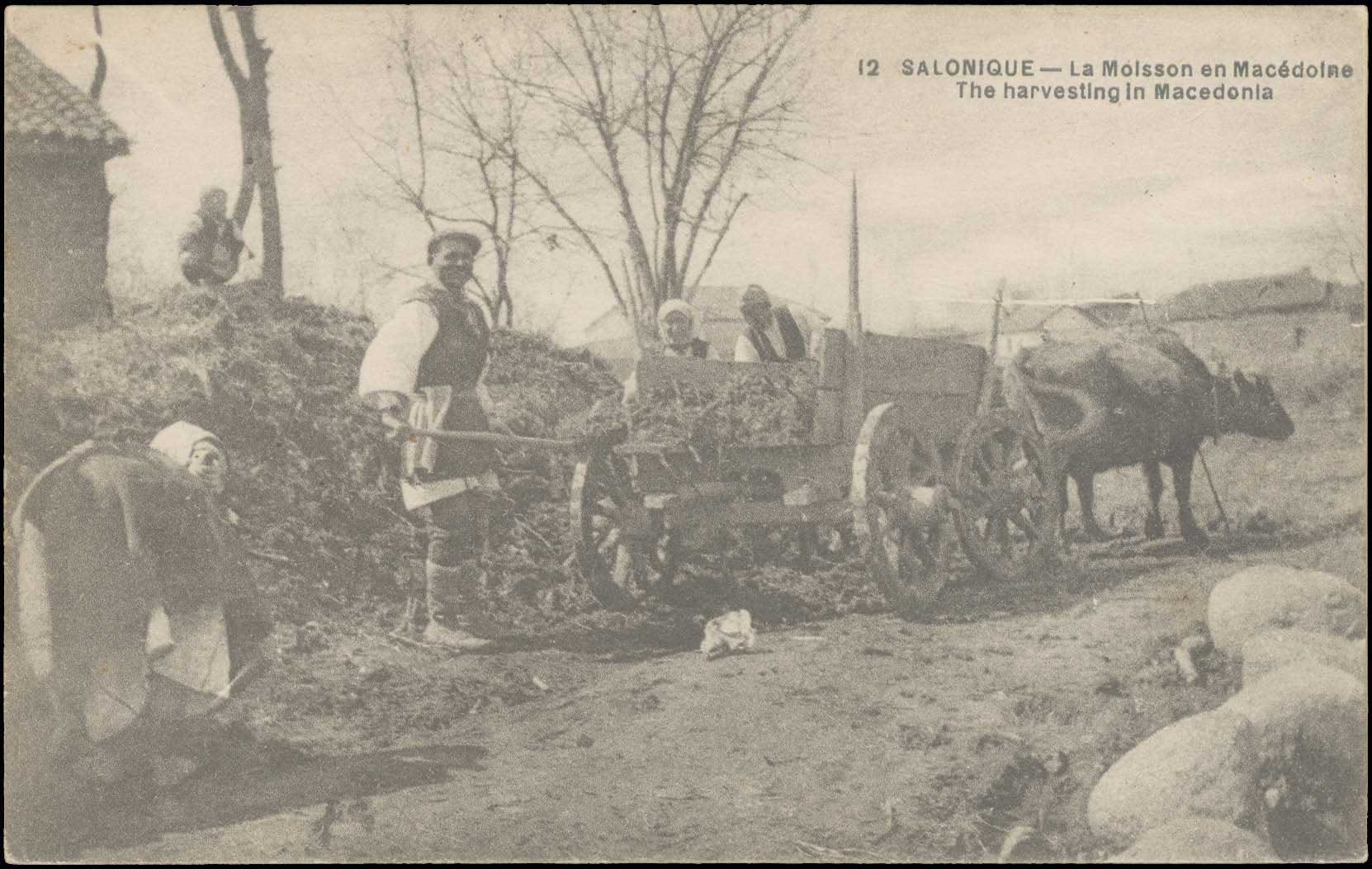 Lot 1874 - PICTURE POSTCARDS - Thessaloniki (Salonica) -  A. Karamitsos Postal & Live Internet Auction 749