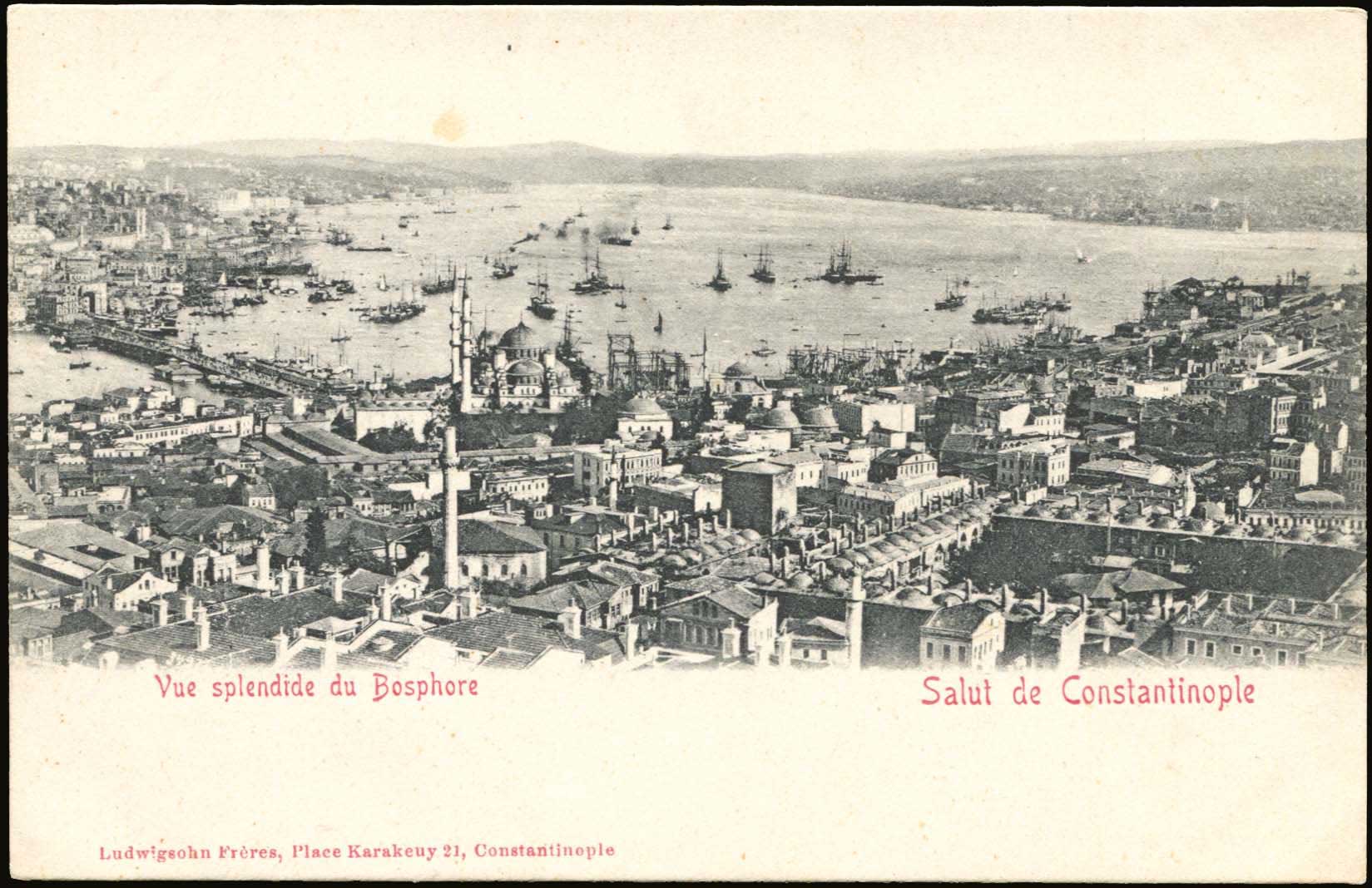 Lot 1880 - - Smyrne,Constantinople, Asia Minor -  A. Karamitsos Postal & Live Internet Auction 755