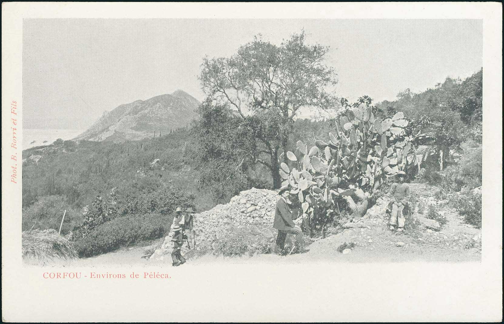 Lot 1756 - - IONIANISLANDS - A. Karamitsos Postal & Live Internet Auction 751 Lot 1756 - - IONIANISLANDS - A. Karamitsos Postal & Live Internet Auction 751