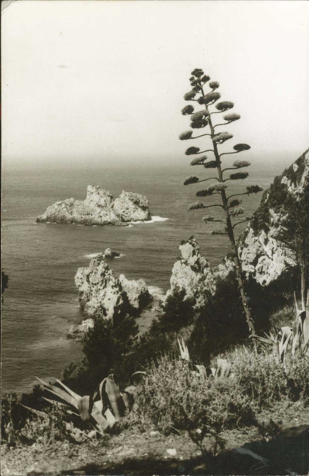 Lot 2267 - IONIANISLANDS  -  A. Karamitsos Live Internet Auction 27