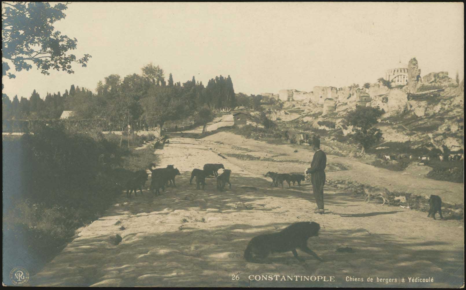 Lot 2462 - Smyrne,Constantinople, Asia Minor  -  A. Karamitsos Live Internet Auction 27