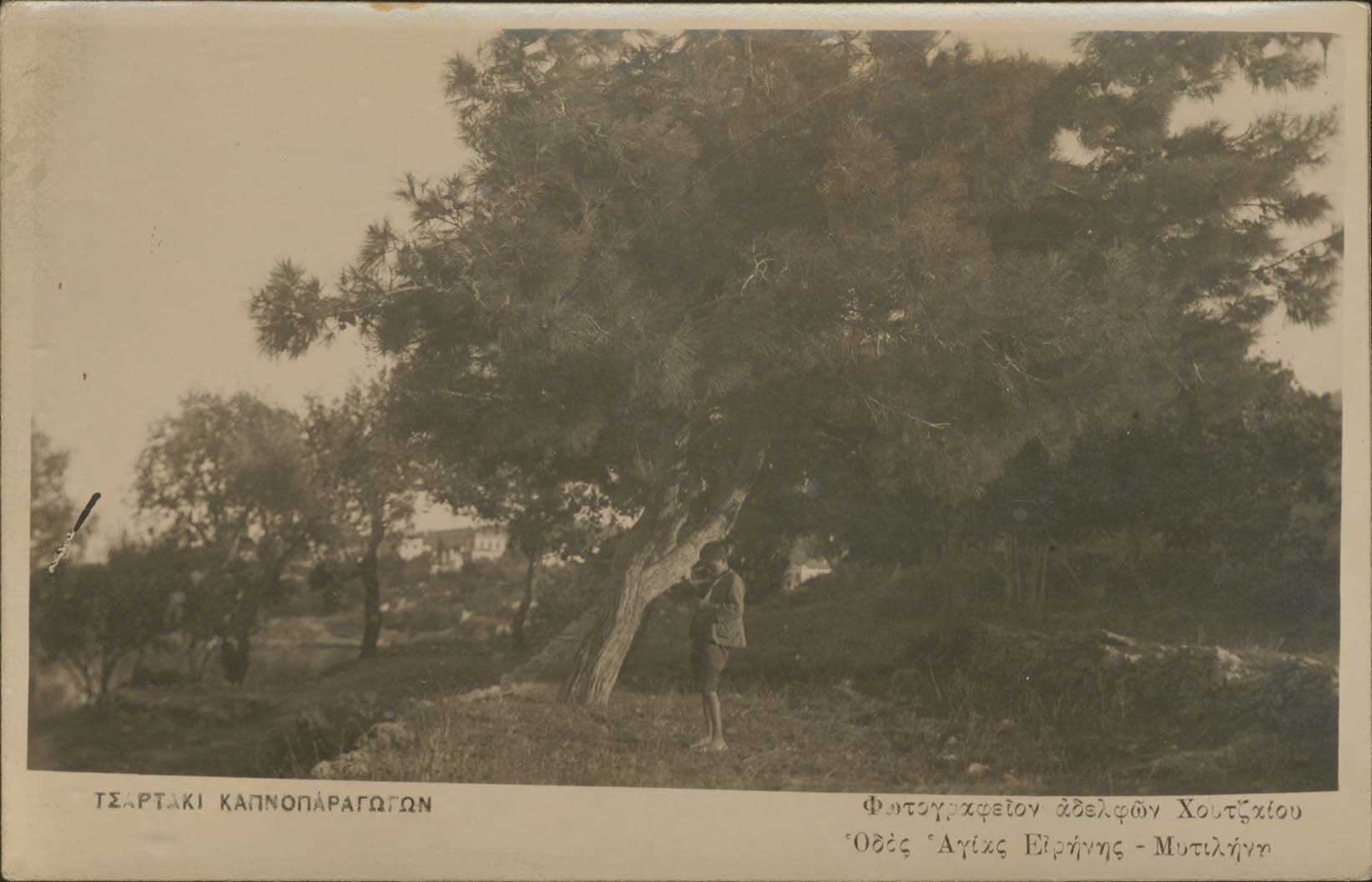 Lot 1407 - - AegeanIslands (North And East) - A. Karamitsos Postal & Live Internet Auction 751 Lot 1407 - - AegeanIslands (North And East) - A. Karamitsos Postal & Live Internet Auction 751